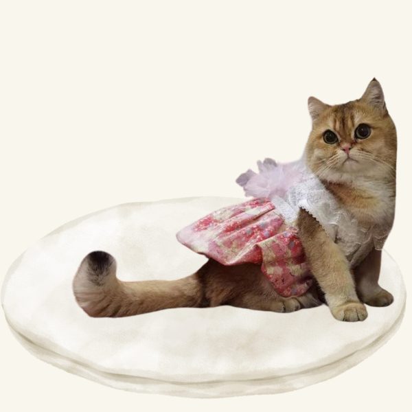 Blossom | Dreamy Sakura Lantern Dress for Cats - Image 4