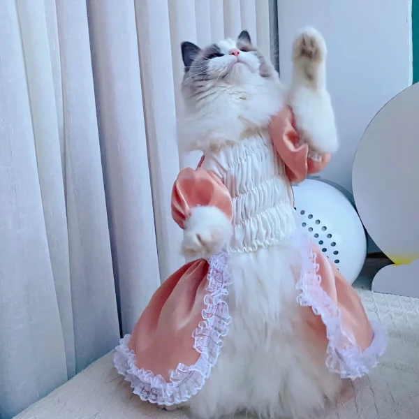 Miele｜Baroque Satin Dress For Cats - Image 3