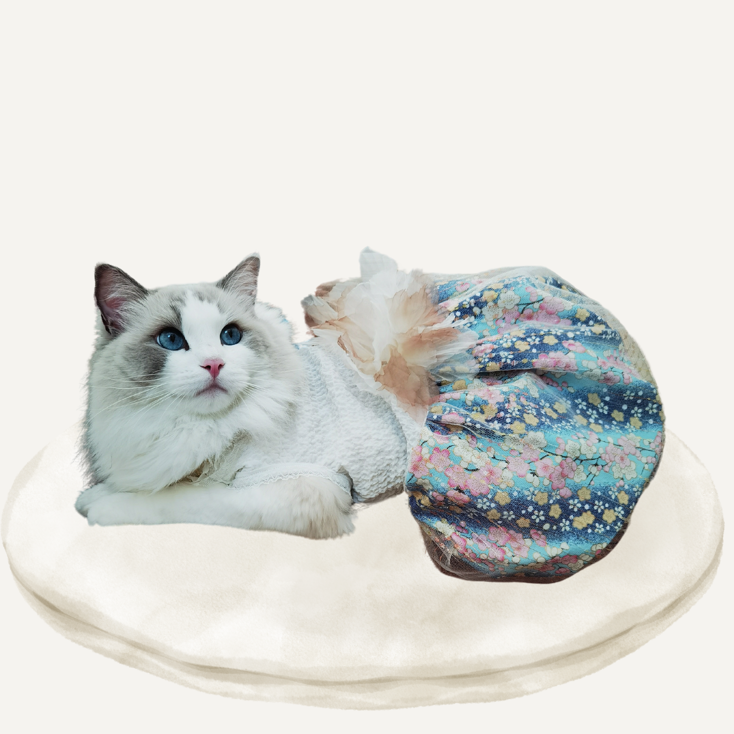 描述图片2