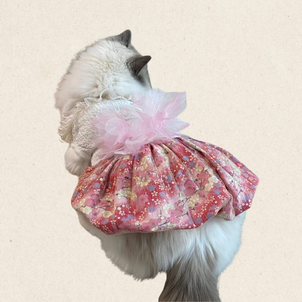 Blossom | Dreamy Sakura Lantern Dress for Cats - Image 3