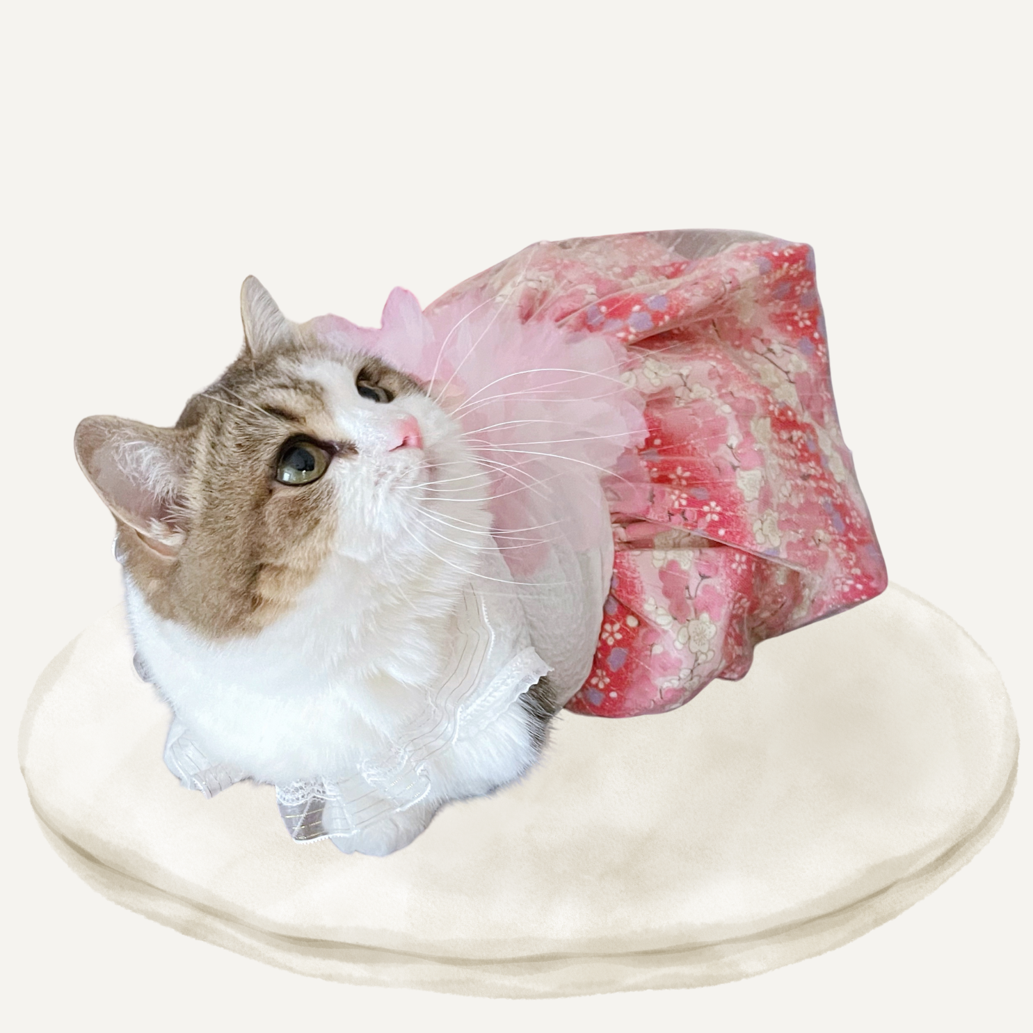 描述图片3