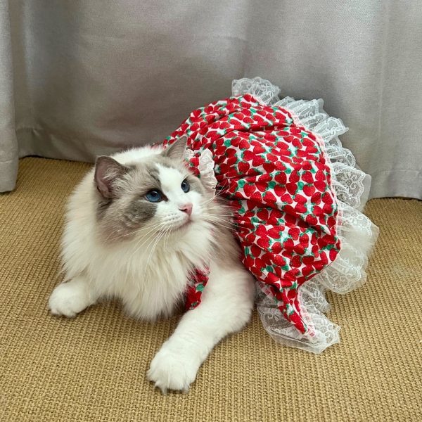 Strawberry｜Heart-Shaped Apron Dress for Cats - Image 3