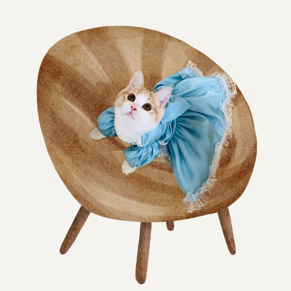 Azzurra｜Baroque Satin Dress For Cats - Image 3