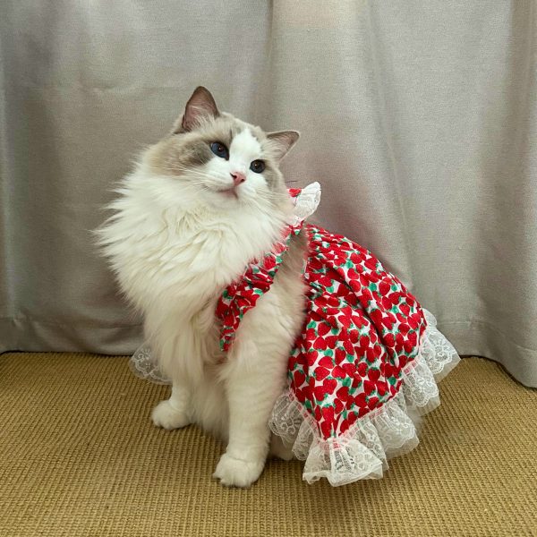 Strawberry｜Heart-Shaped Apron Dress for Cats - Image 4