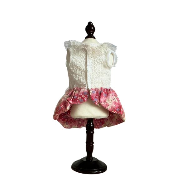 Blossom | Dreamy Sakura Lantern Dress for Cats - Image 2