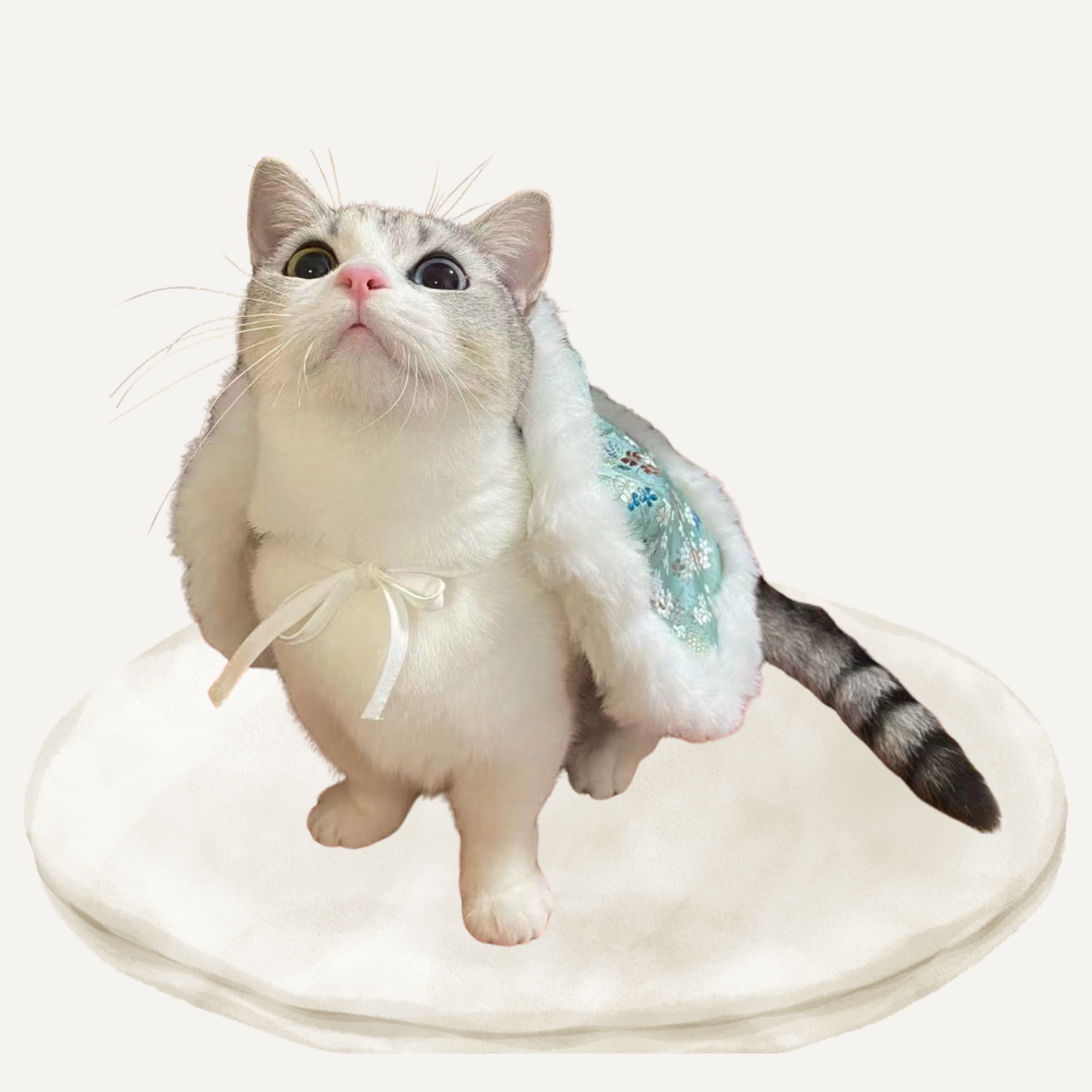 描述图片1
