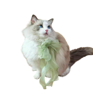 Lumina｜White Ruffle Cat Collar with Flowing Sheer Chiffon Bow