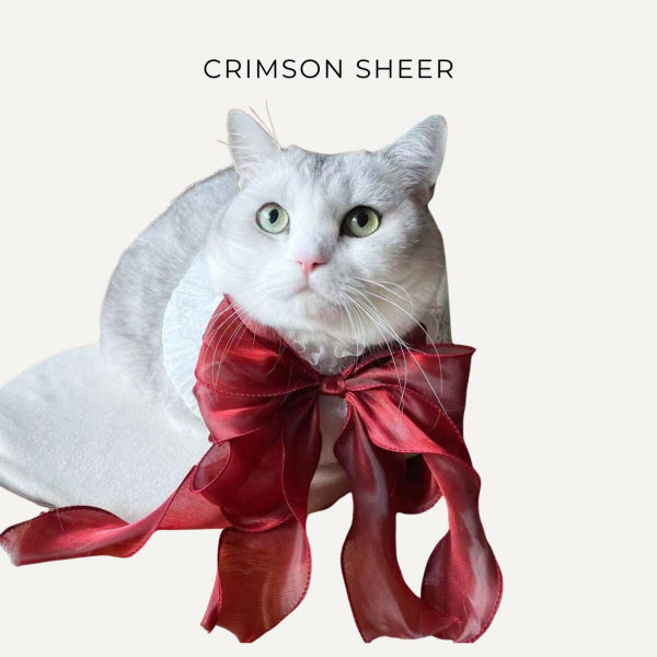 Lumina｜White Ruffle Cat Collar with Flowing Sheer Chiffon Bow - Image 4