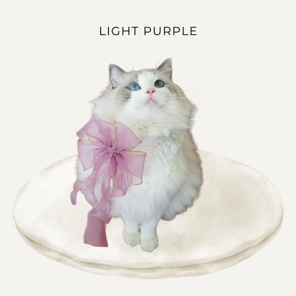 Lumina｜White Ruffle Cat Collar with Flowing Sheer Chiffon Bow - Image 9