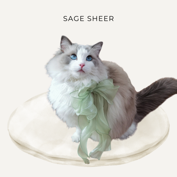 Lumina｜White Ruffle Cat Collar with Flowing Sheer Chiffon Bow - Image 5