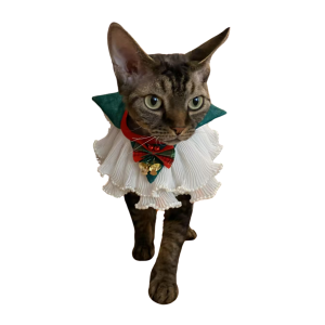 White Christmas｜Double-Layered Ruffle Cat Collar with Festive Bow and Gold Bell