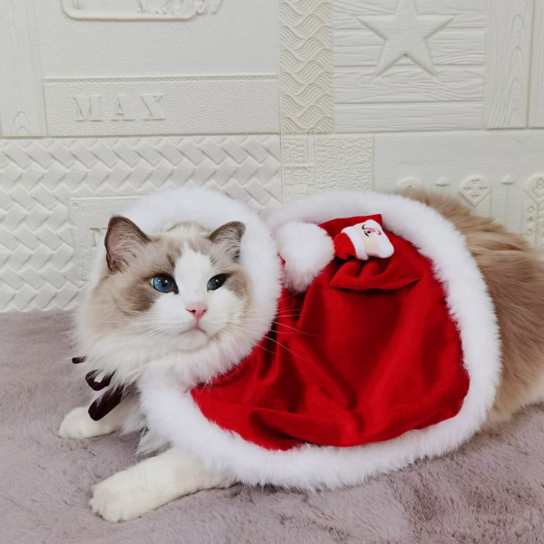 Santa Paws｜Luxury Red Velvet Cat Cloak for Christmas - Image 2