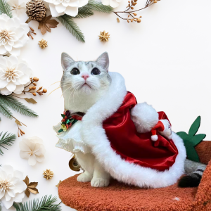 Santa Paws｜Luxury Red Velvet Cat Cloak for Christmas