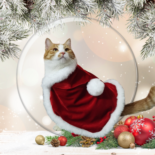 Santa Paws｜Luxury Red Velvet Cat Cloak for Christmas - Image 6